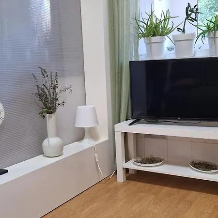 Ciric * イヴァニツァ