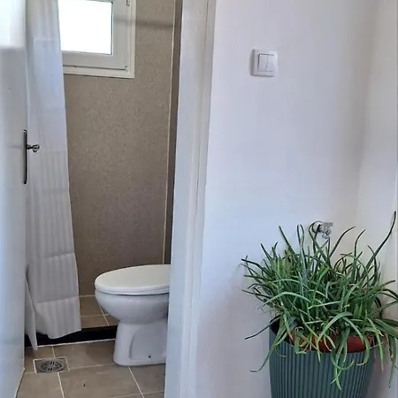 Ciric * イヴァニツァ