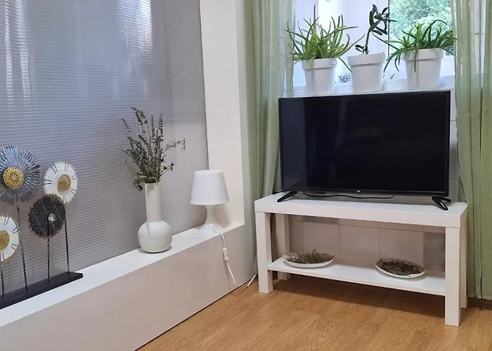 Ciric * 이바니차