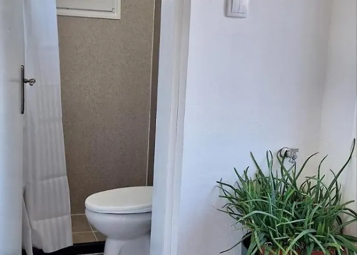 Ciric * 이바니차